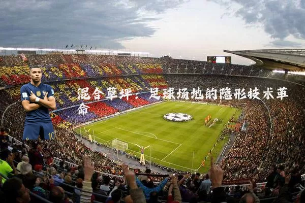 混合草坪:足球场地的隐形技术革命